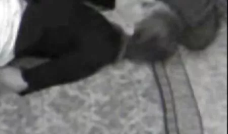 Sexo con una chica videos eroticos de play boy en casero estilo porno