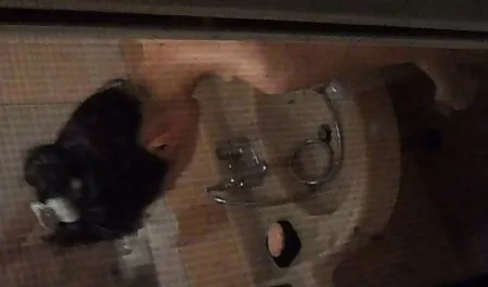 Un chico sexo video erotico con una chica que ama el sexo