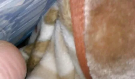 Los estudiantes quieren tener sexo los videos mas eroticos en un dormitorio